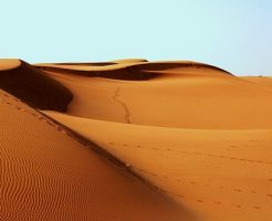 砂漠 砂丘